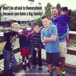 I Can't Homeschool Because I Have Too Many Kids!